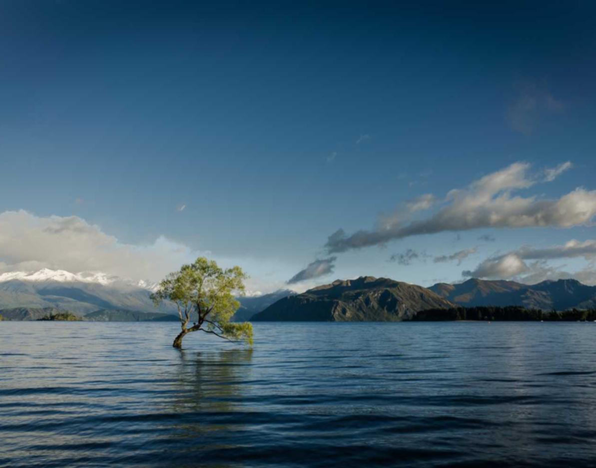 中期移动实名账号:顶点刷粉平台开户