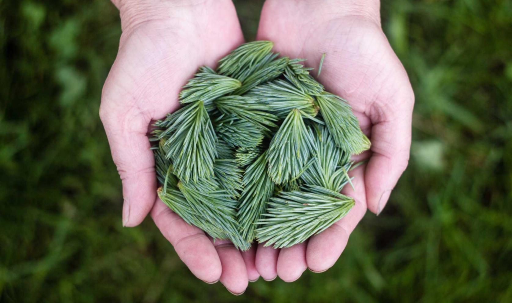 乐语通讯实名账号:给小宝宝注册账号