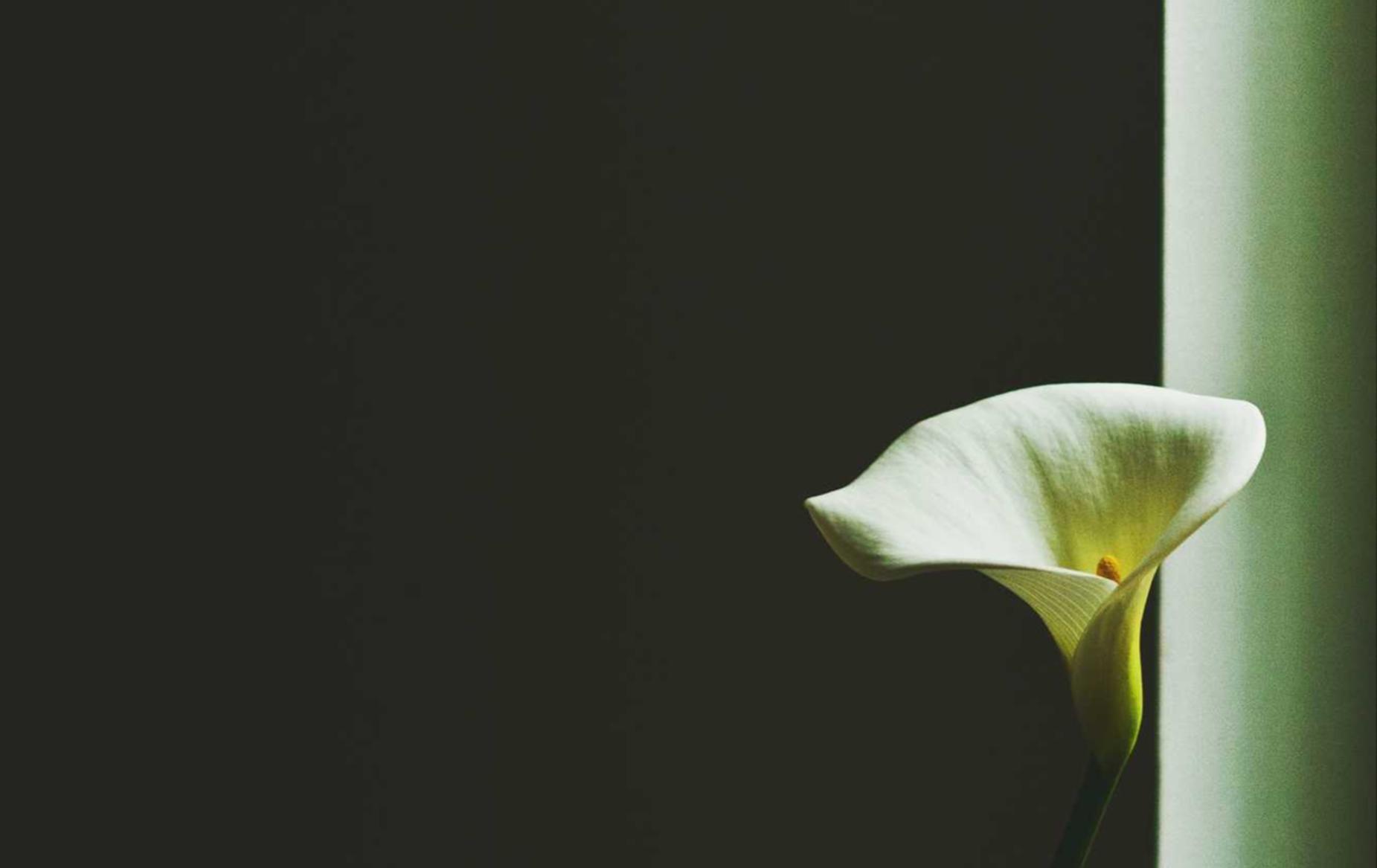 雷神娱乐,注册|邵阳公司代理注册