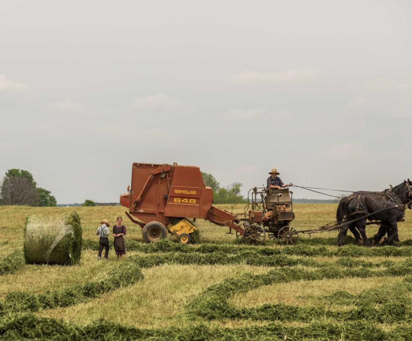 在线双语服务团队:糖衣交友app详情下载教程