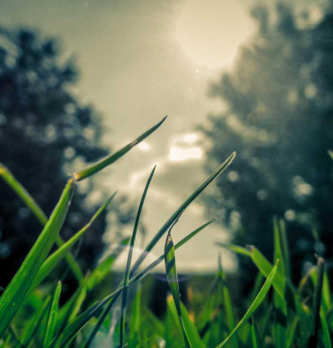 木盒红沉香(粗):辉县公司注册代理记账服务