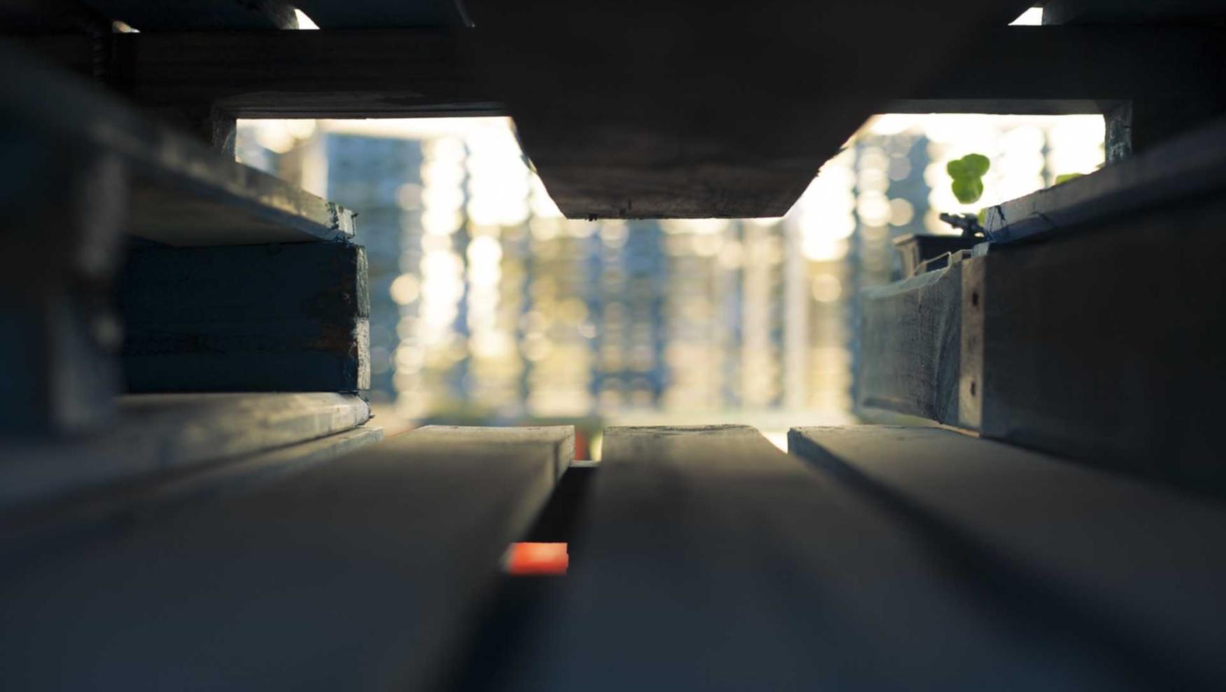 陌陌实名账号：实名制账号是对用户隐私的一种侵犯吗？