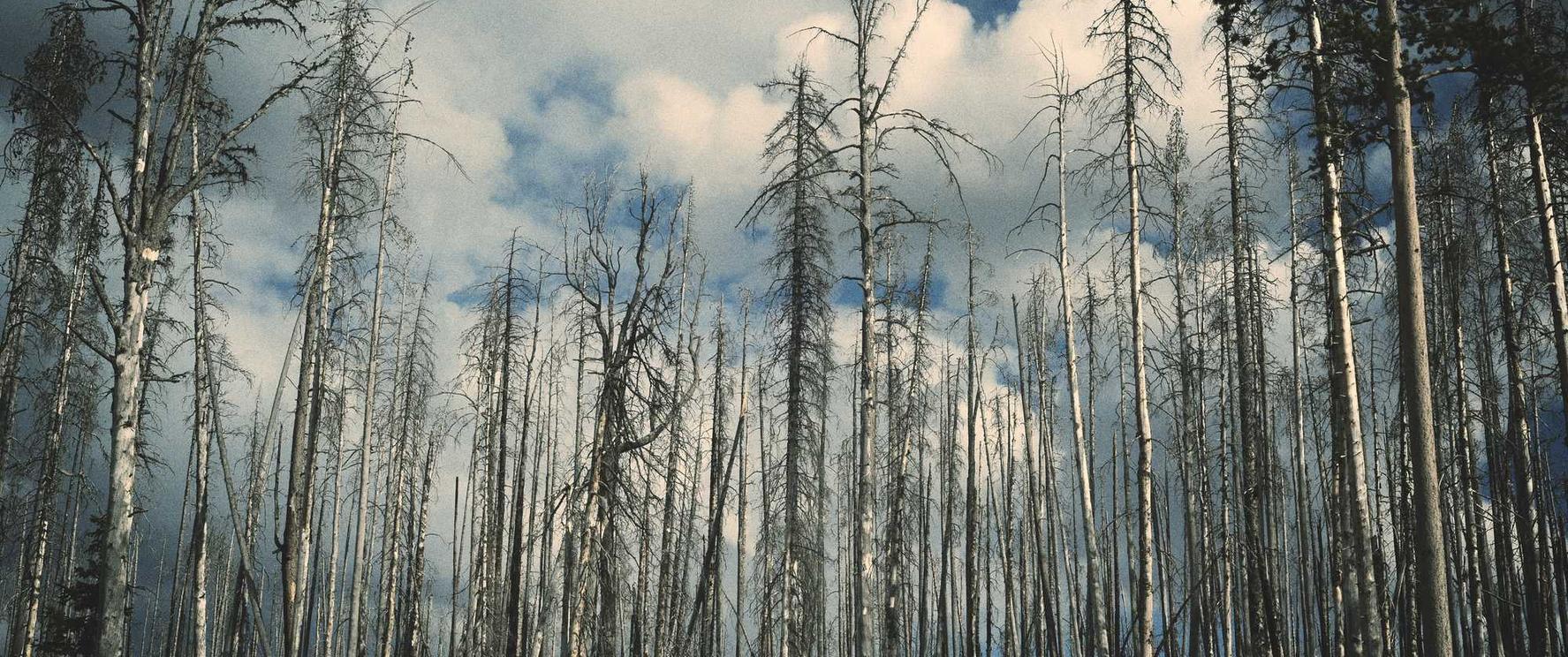 UED娱乐，注册|河南国际商标注册代理中心