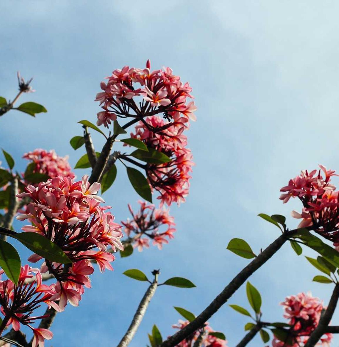 如何保护您的Java代码安全