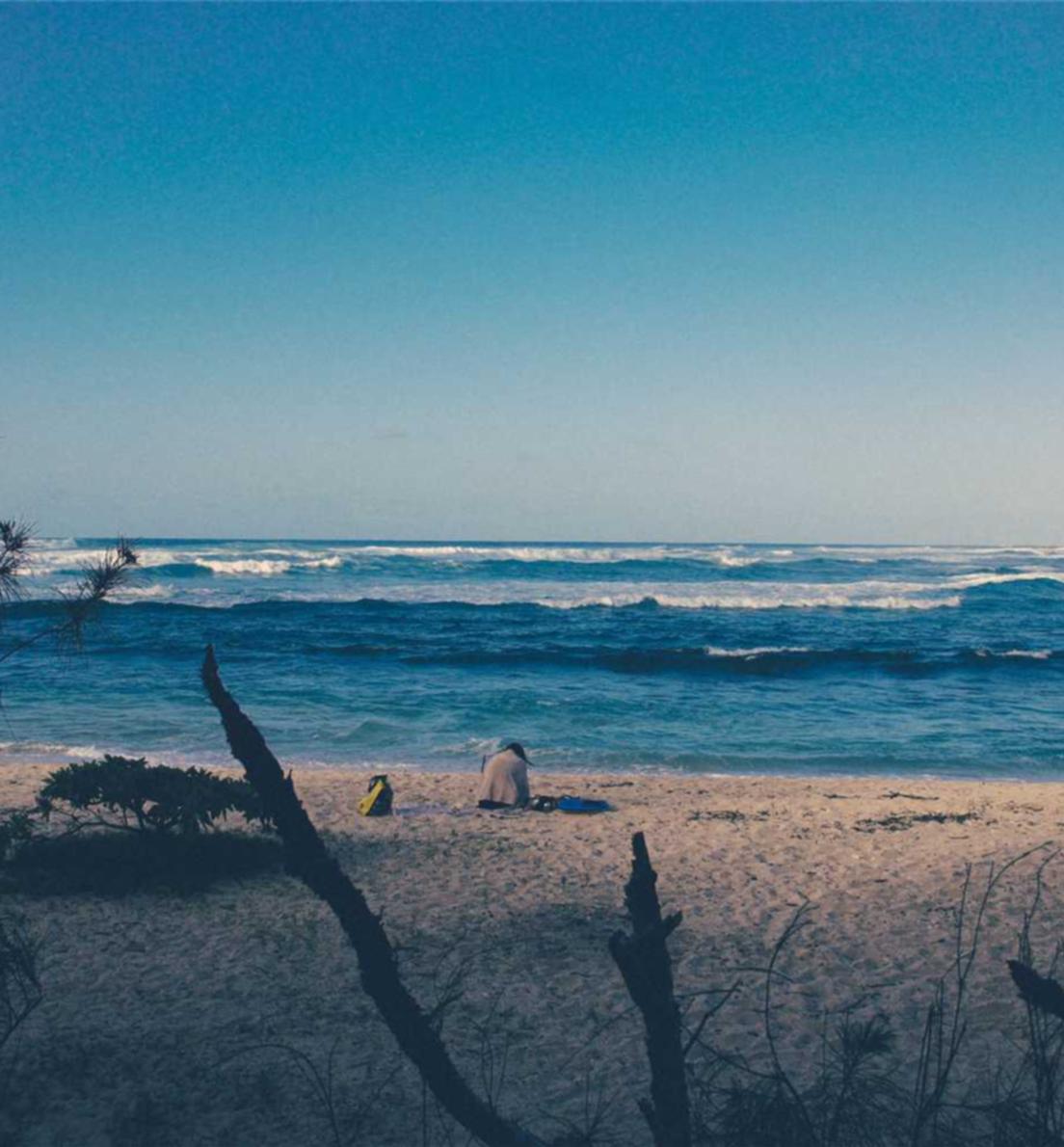 CG阔叶罗布图雪茄:代理推平台推广