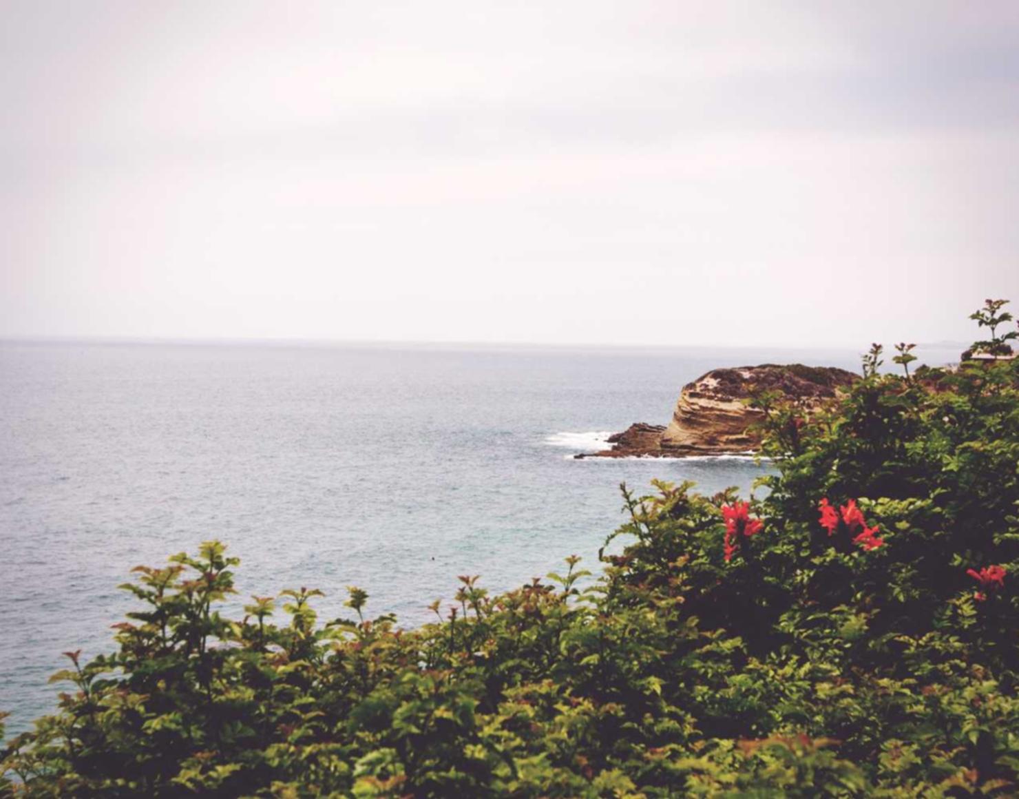 七日世界：头像详情下载教程app