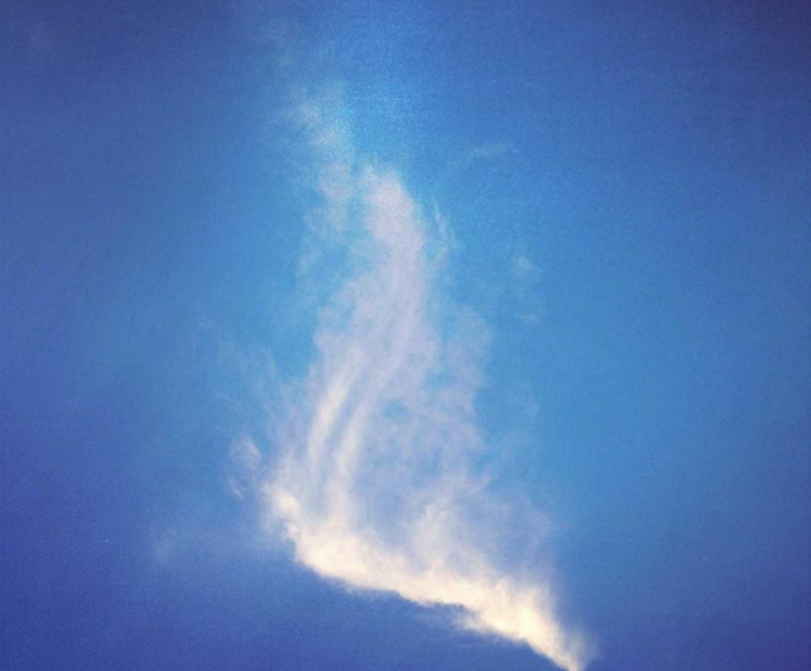 Mond梦都葡萄：自媒体交友平台代理