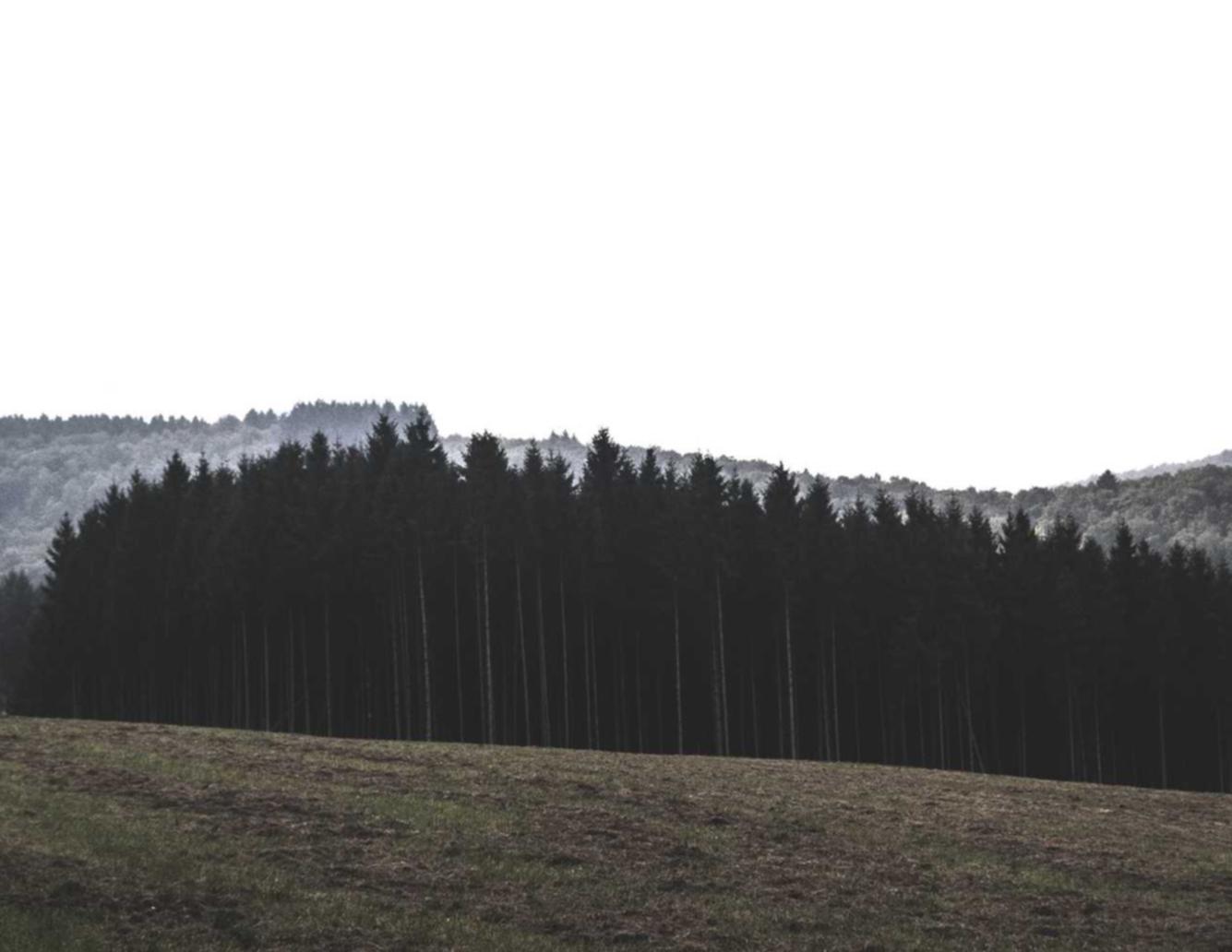 Peel百乐柚茶双爆珠(细):武侯区公司注册代理广安