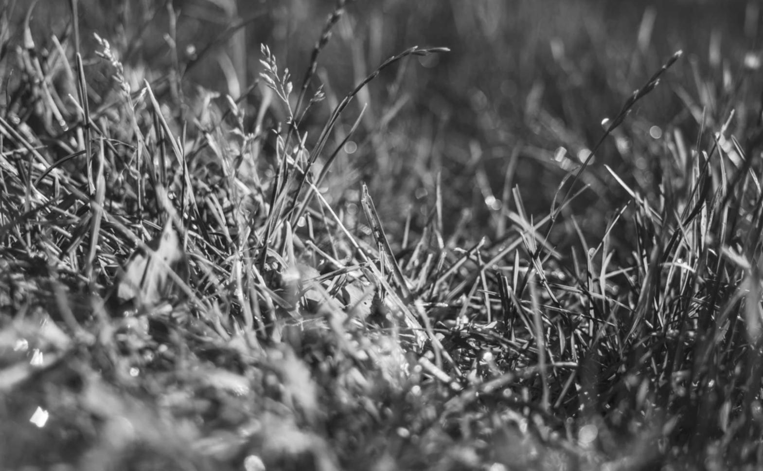 渭城区代理公司注册费用