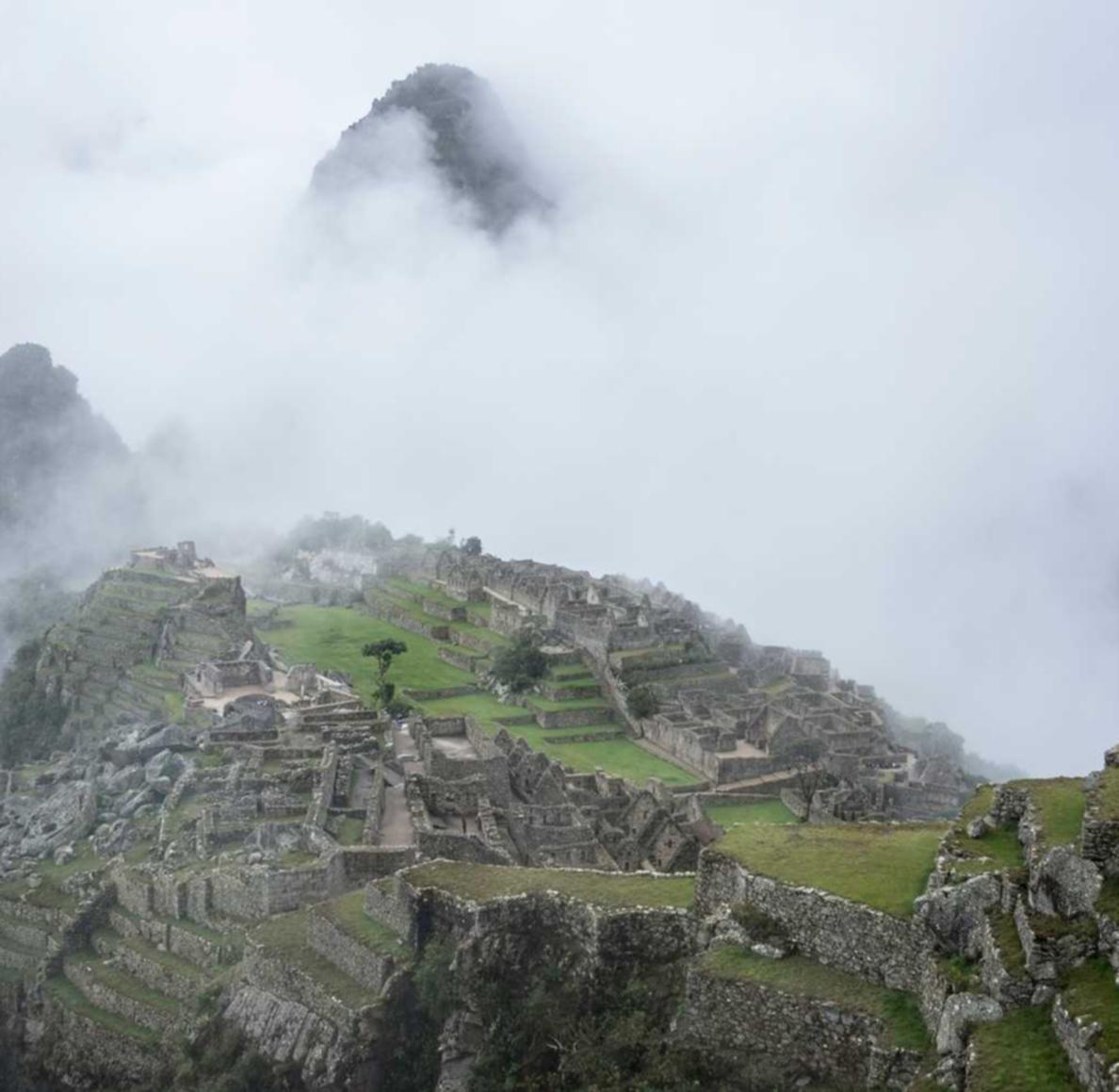 如何使用数据分析提高SEO 