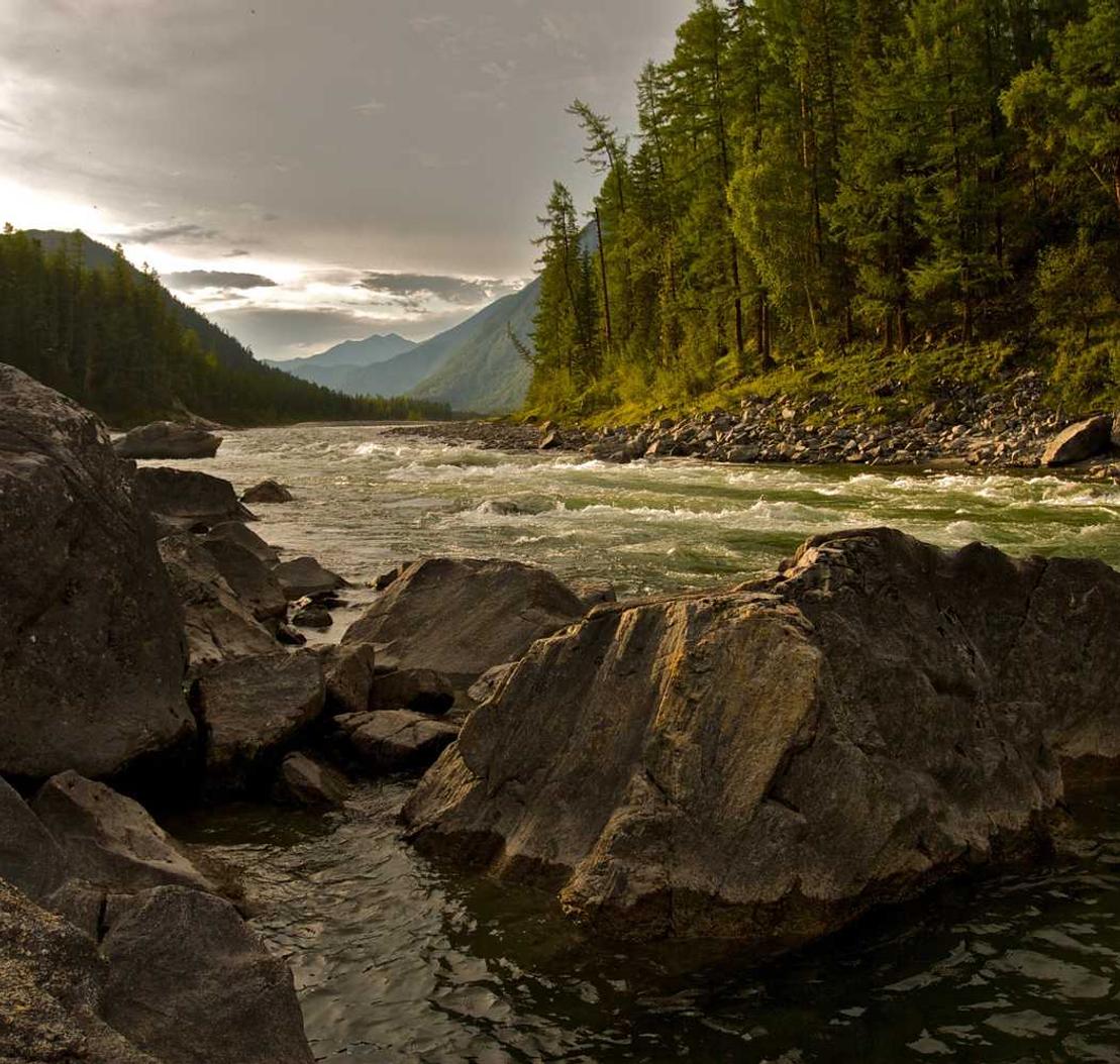 免费DDOS攻击平台|炒伦敦金开户平台