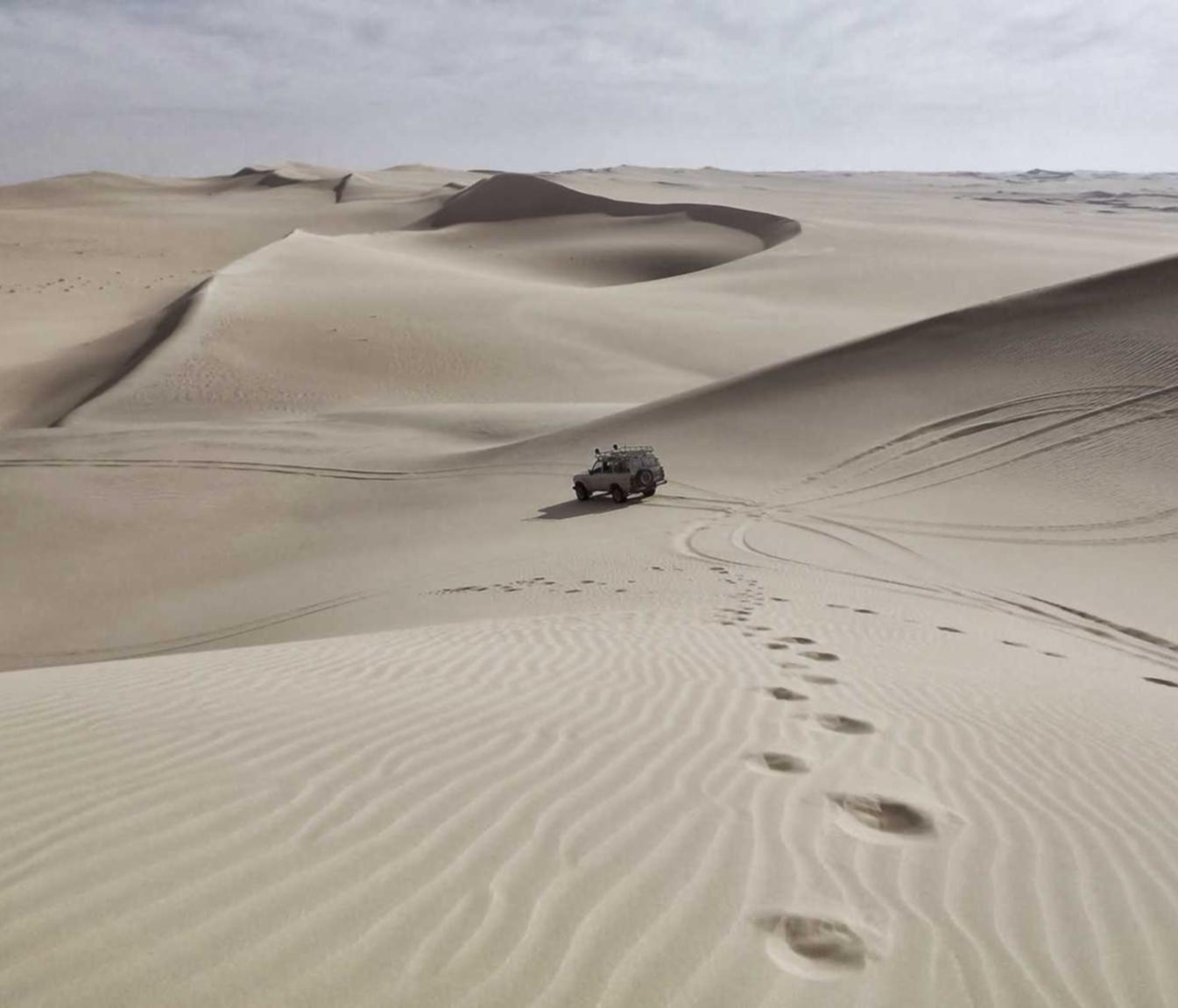开丰娱乐,注册|芝麻代理 注册
