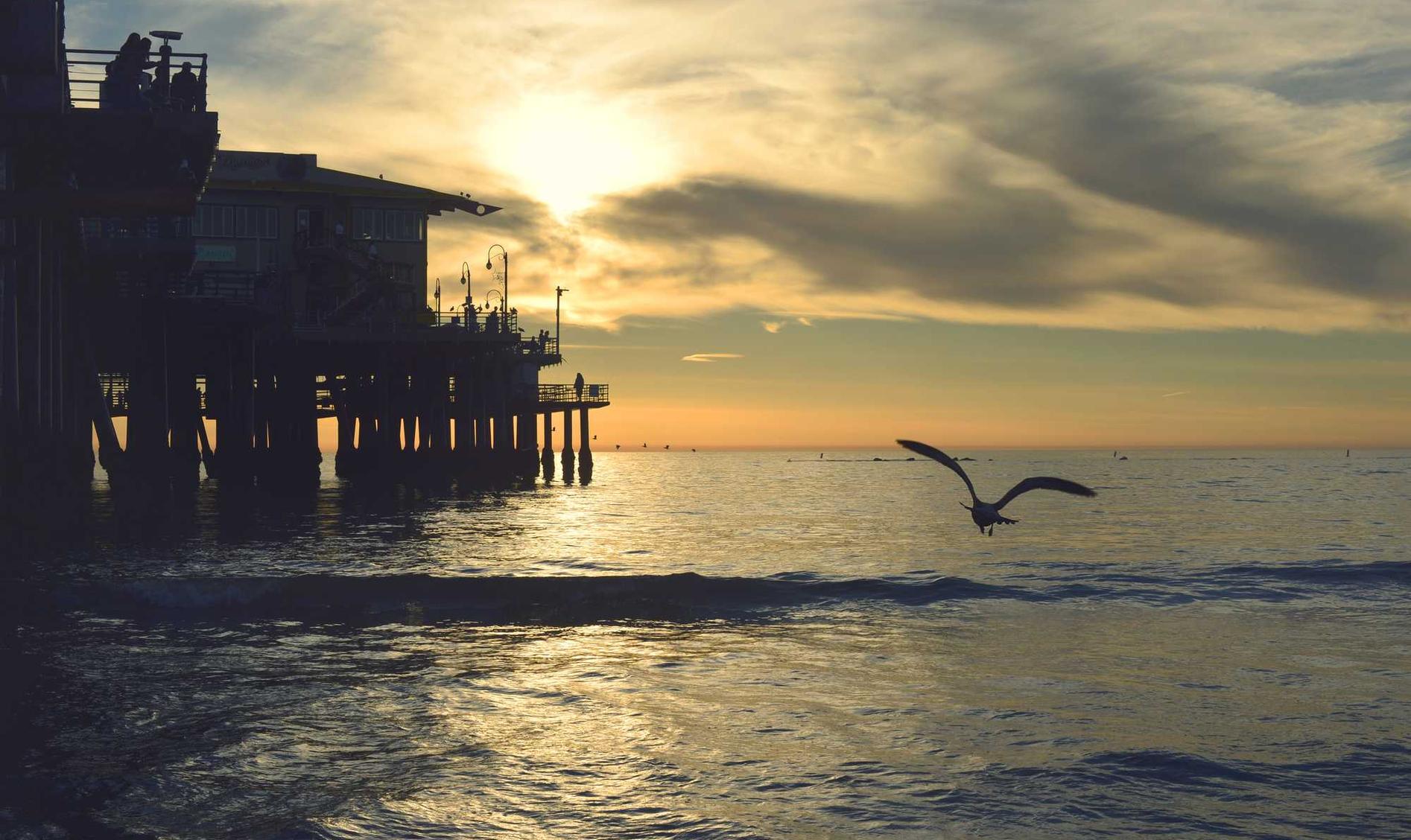 正规得流量卡：cctv公开课app详情下载教程视频