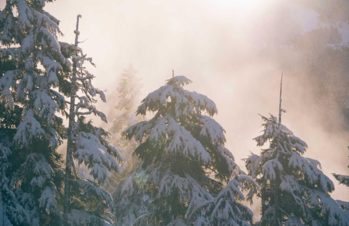 羽林平台网络购物怎么注册账号