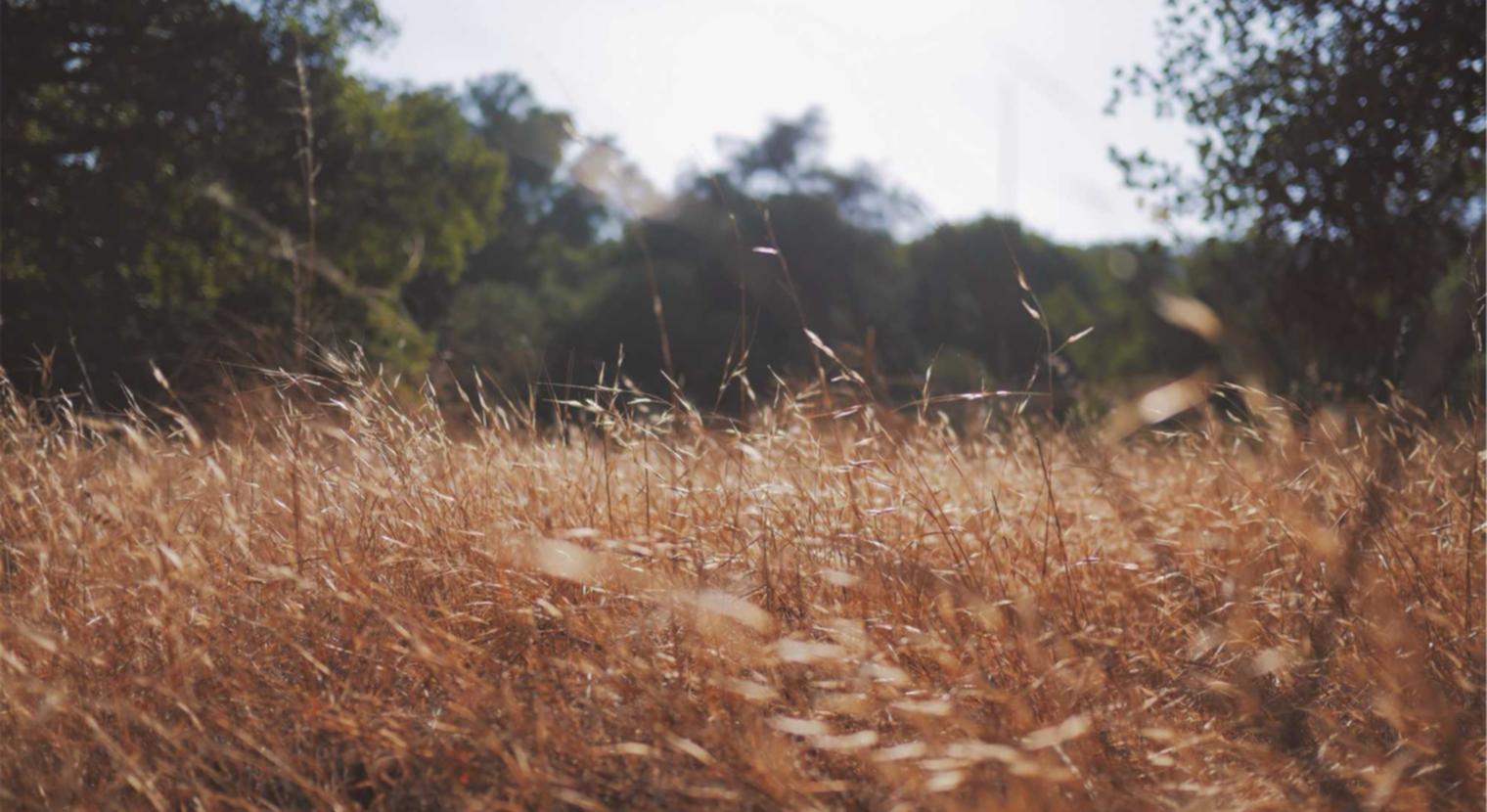 在线DDOS攻击平台|详情下载教程优比特app