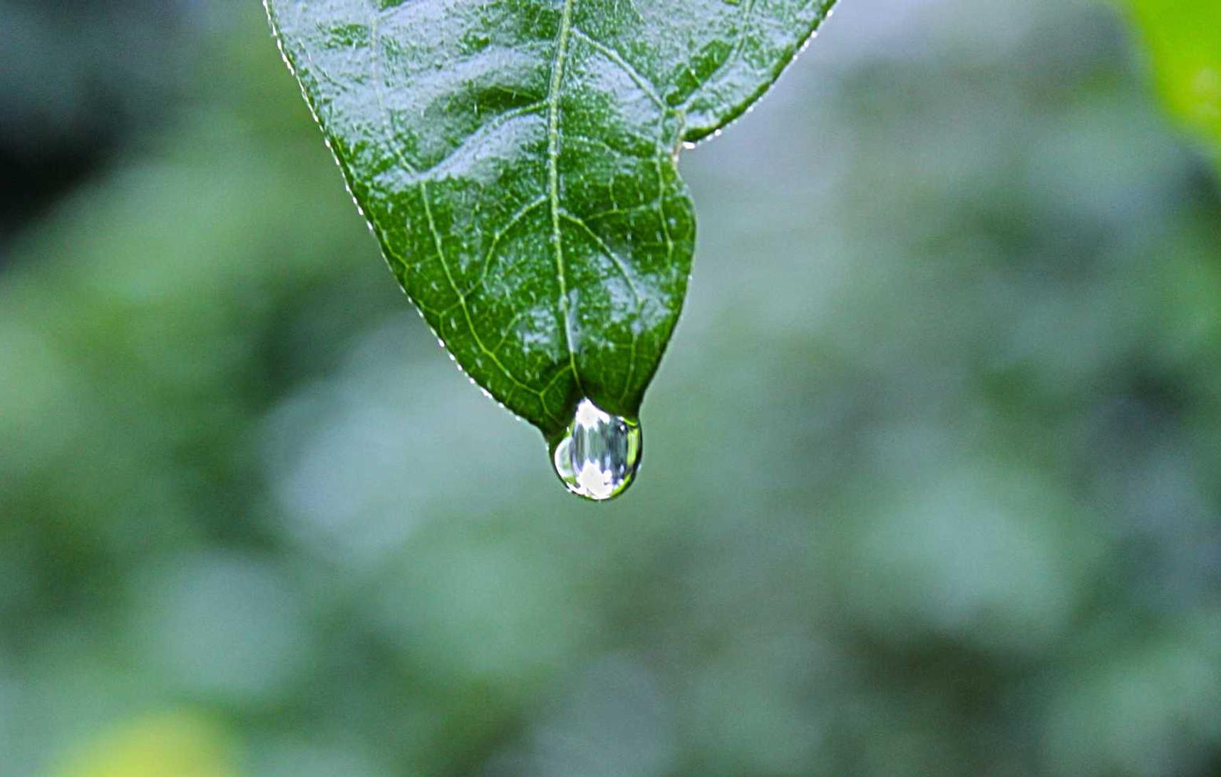 微信号批发市场：临沧游戏代理平台