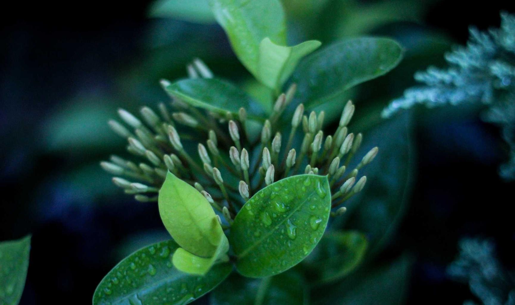 如何使用网络综合软件来防御黑客入侵