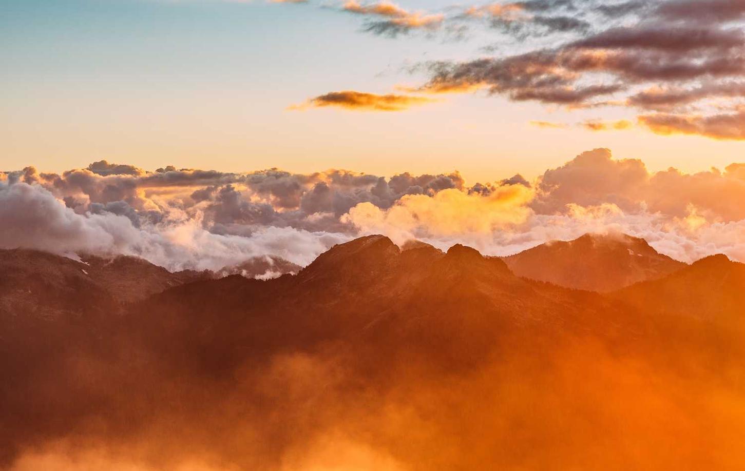 虚拟机手机卡实名实名账号：熊猫影院app详情下载教程