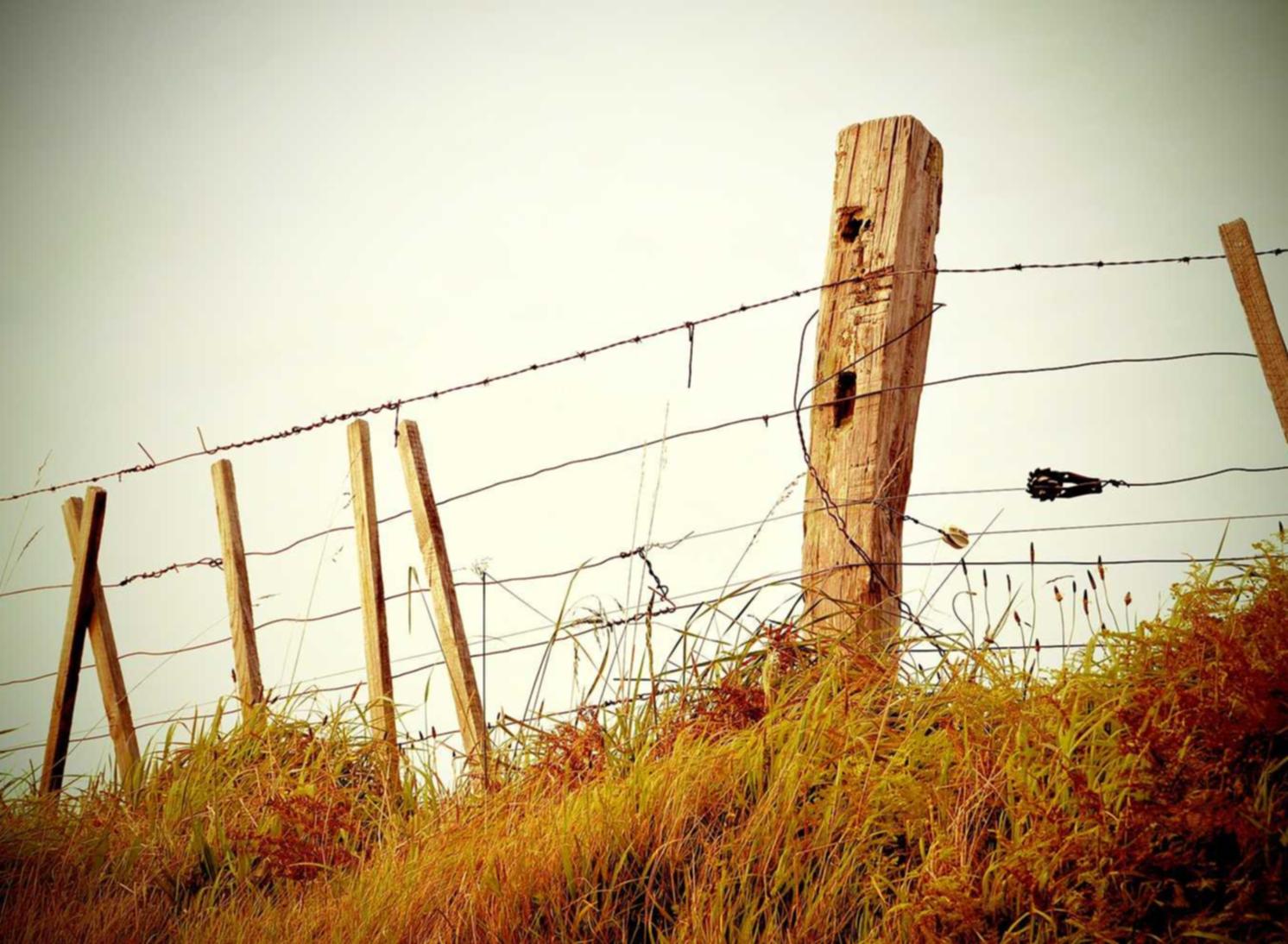 易名实名账号：黑龙江名酒代理销售平台