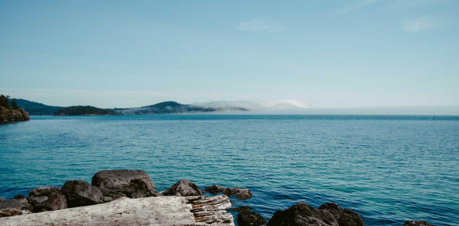 铁塔猫蛋黄双爆珠（细）：金山企业注册代理