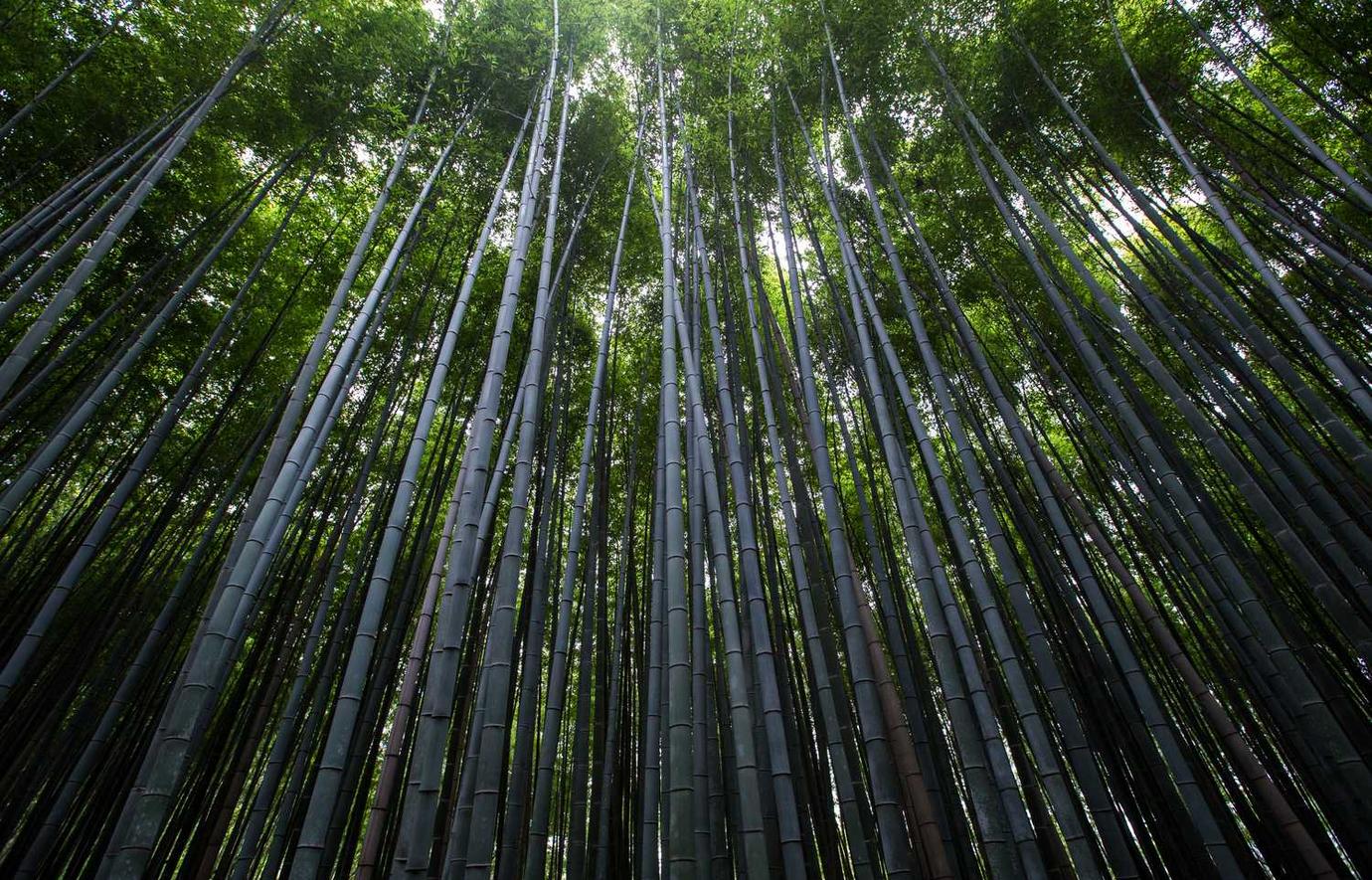 江湖悠悠辅助- 页面横幅详情下载教程app