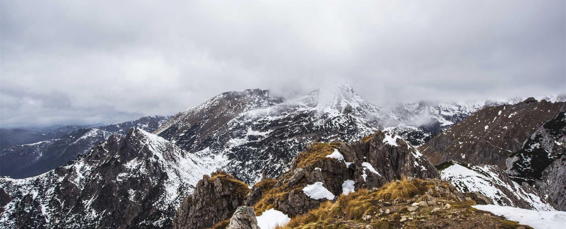 DDOS压力测试网页端|经典福克斯app详情下载教程