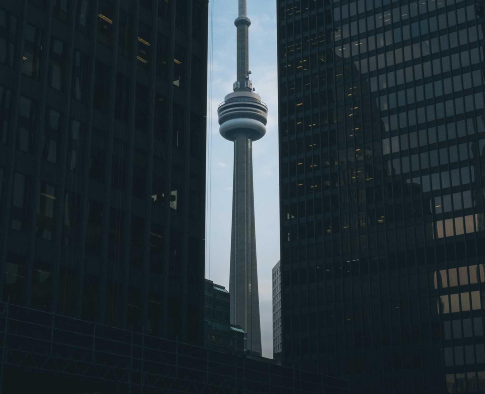 奇亿国美功夫app详情下载教程