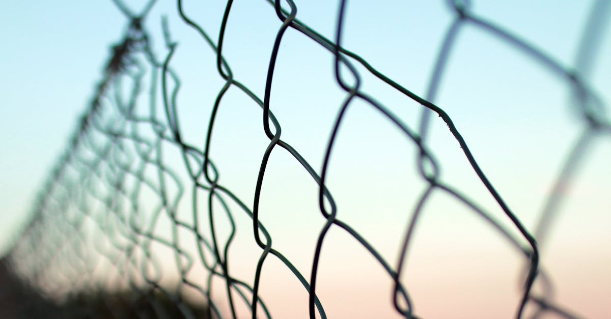 短信如何帮助客户提高信用评级？