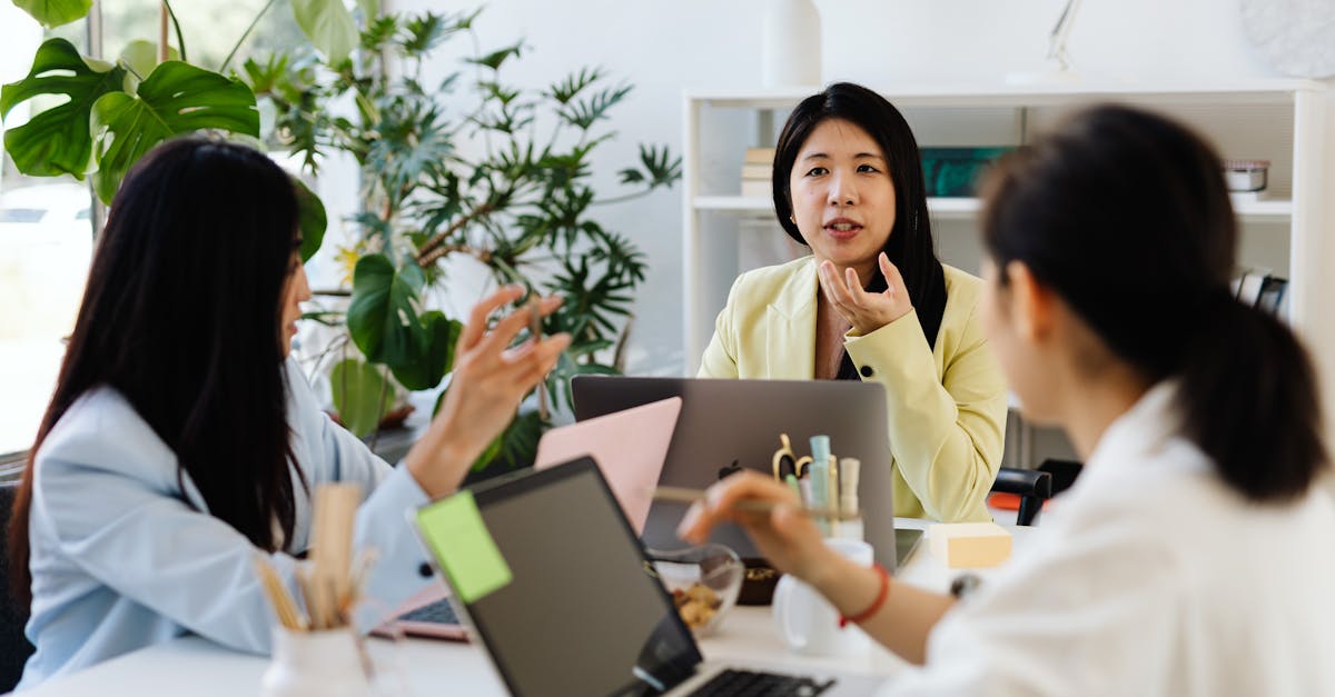 云烟印象烟庄:高唐注册公司代理