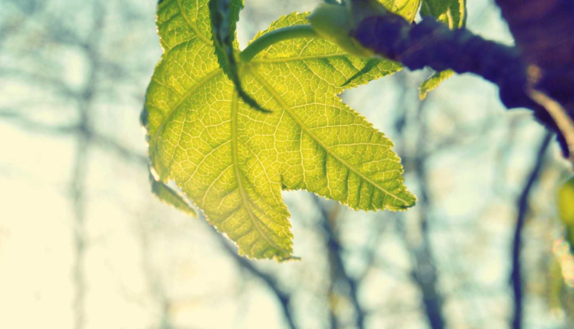 实名抖音号买卖：潍坊代理注册公司价格