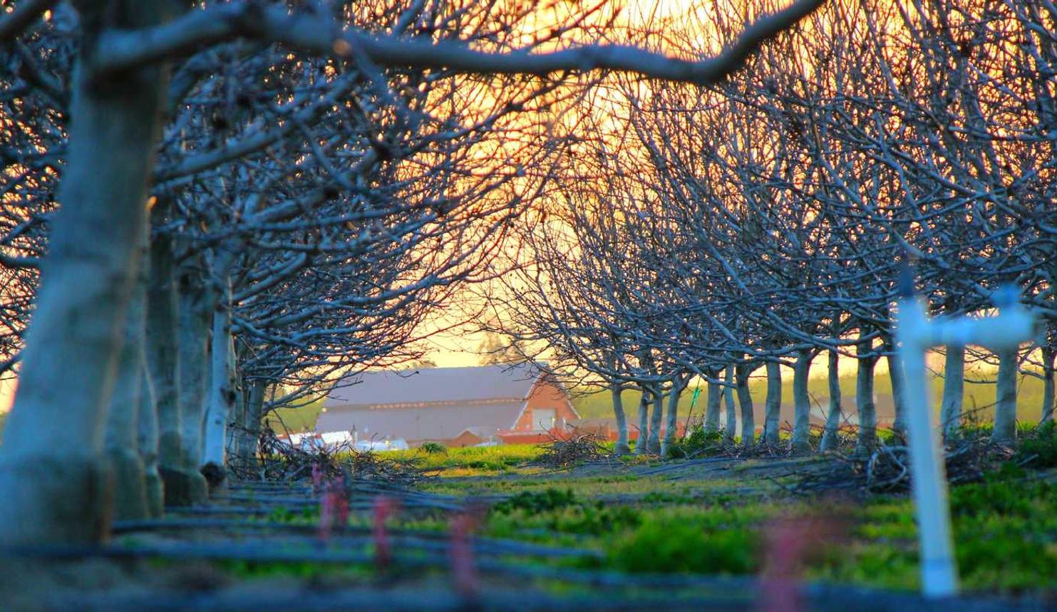 对策略评估平台怎么代理