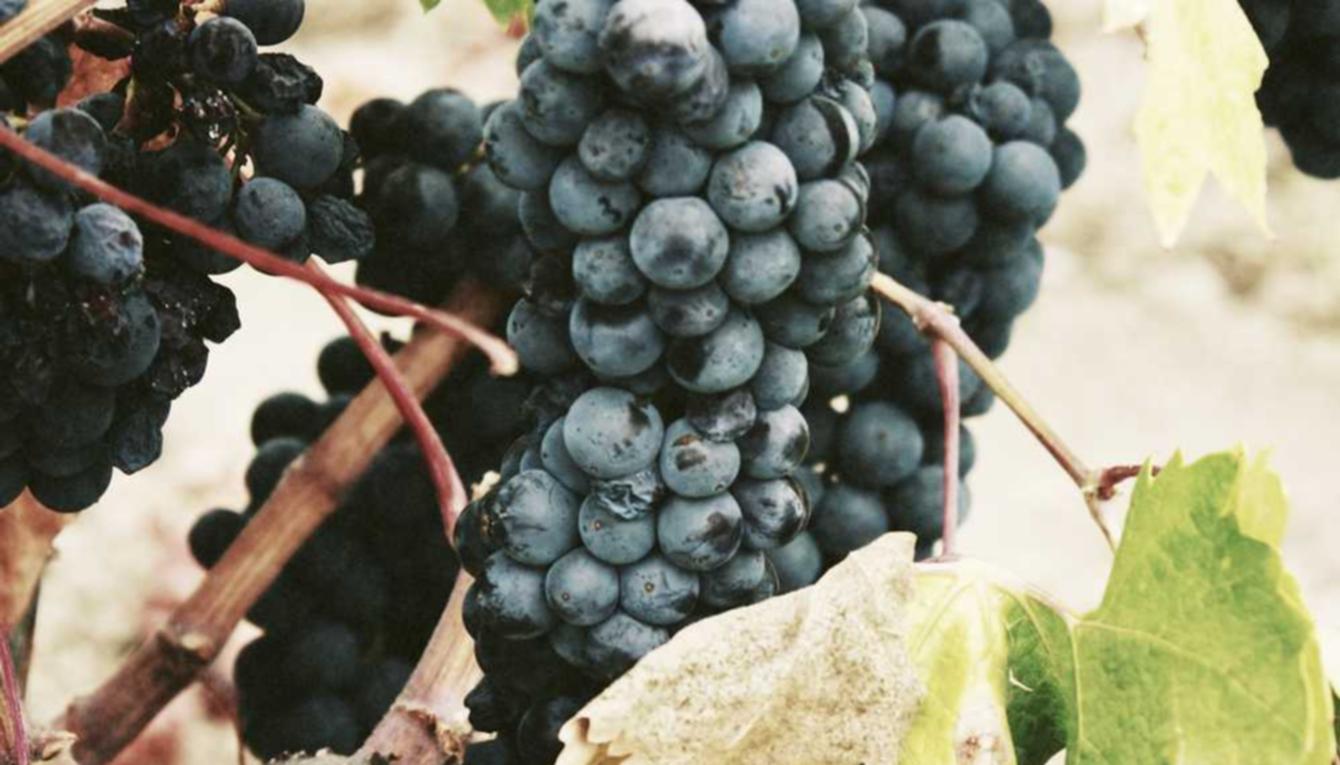 美团外卖网店怎么注册账号