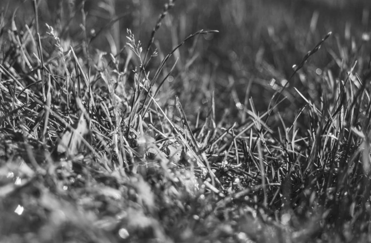 网站代实名实名账号：杨浦工商代理记账平台地址