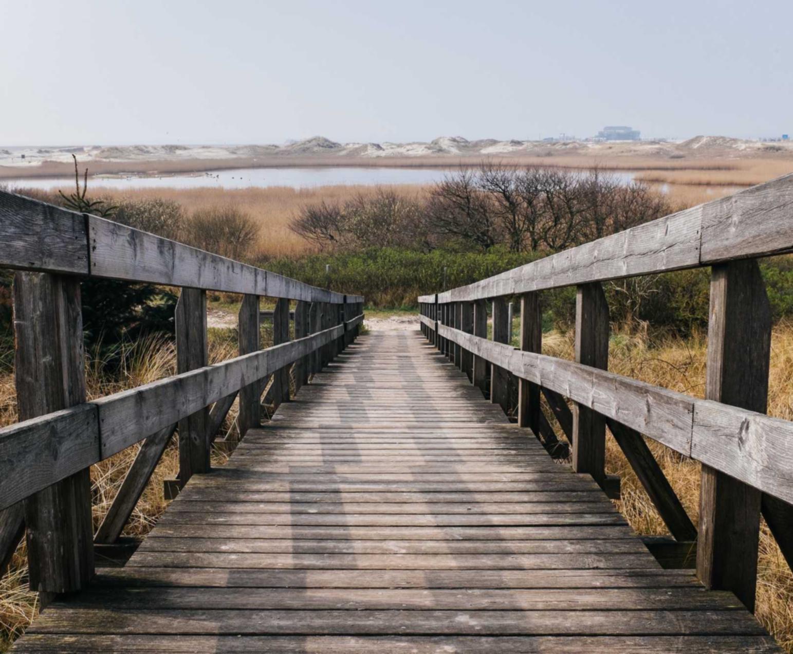 卿我app详情下载教程