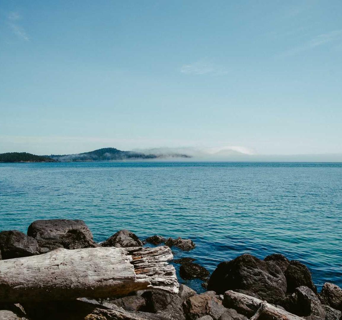 吸烟和社会公平:贫困和教育的影响