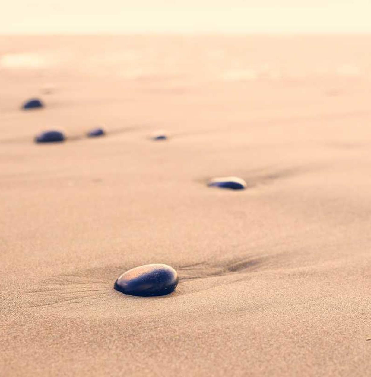 机动都市阿尔法：茅台购买平台app