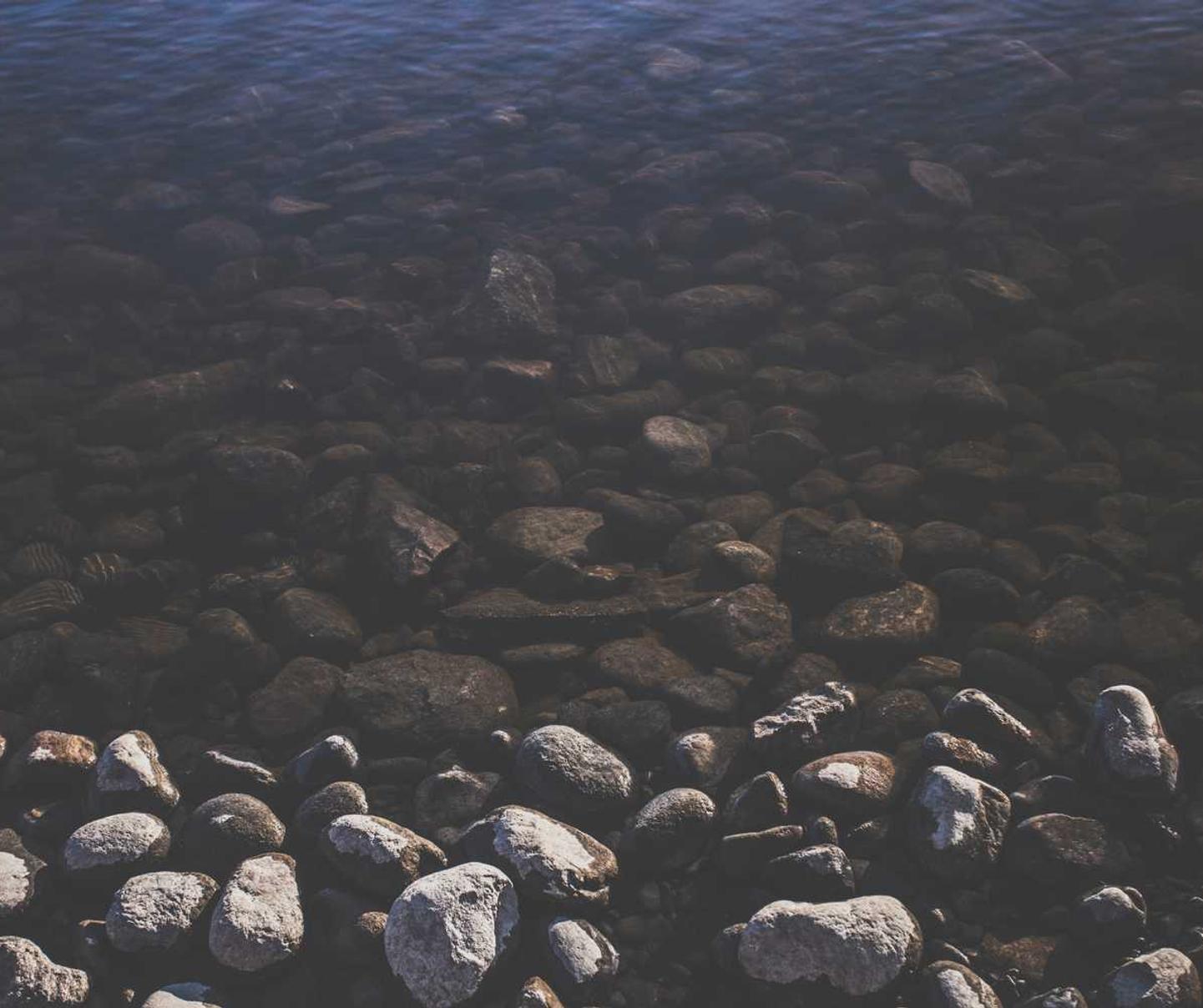 在不同的搜索引擎上优化您的网站