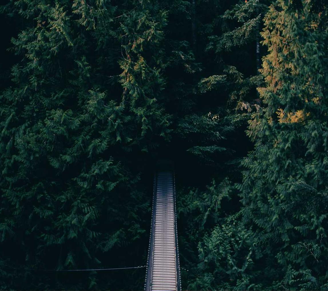 银盛通信实名账号：ie 代理 注册表