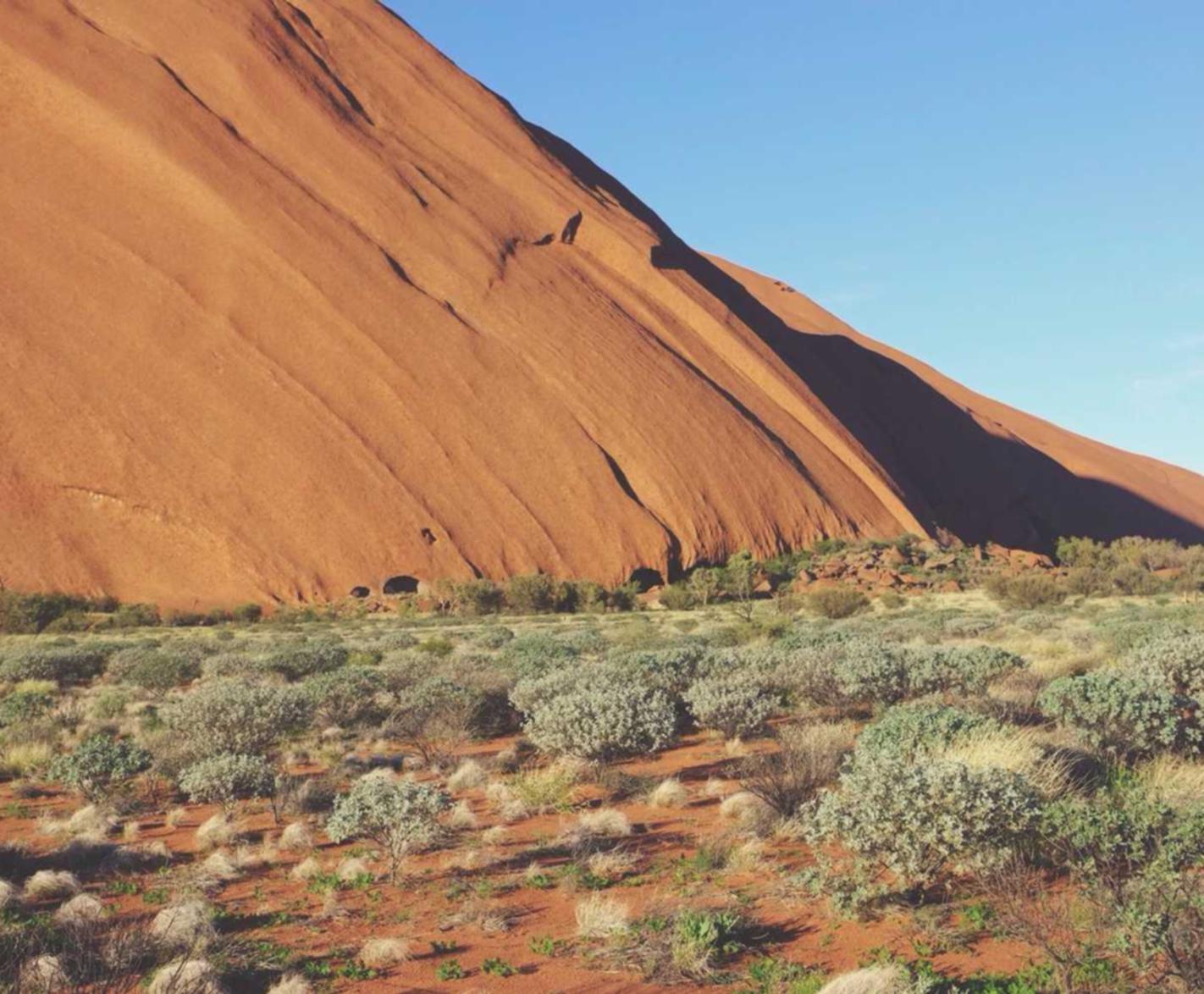 亚马逊AWS实名账号：代理注册外资分公司费用