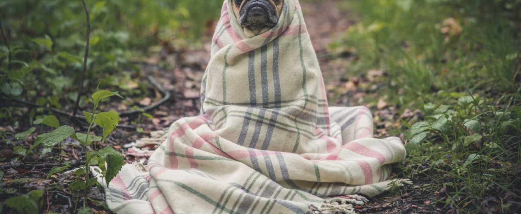 ORIS豪利时幻变爆珠（细）：德州云app详情下载教程