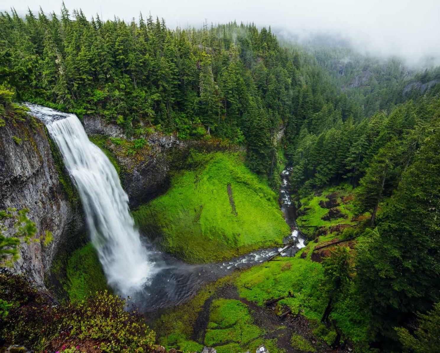 征途2S：礼品购买平台