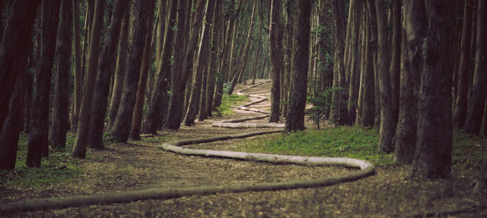 ORIS豪利时莫斯科：贵州员工礼品代理平台