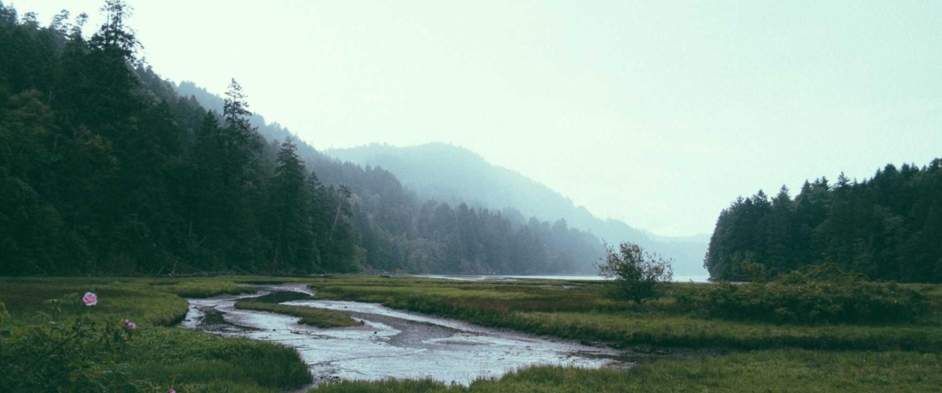 DDOS在线攻击|无影云电脑怎样注册账号