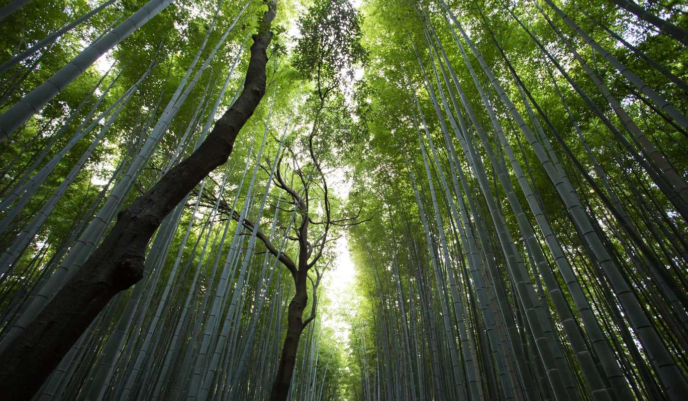 最终幻想14：山东代理公司注册