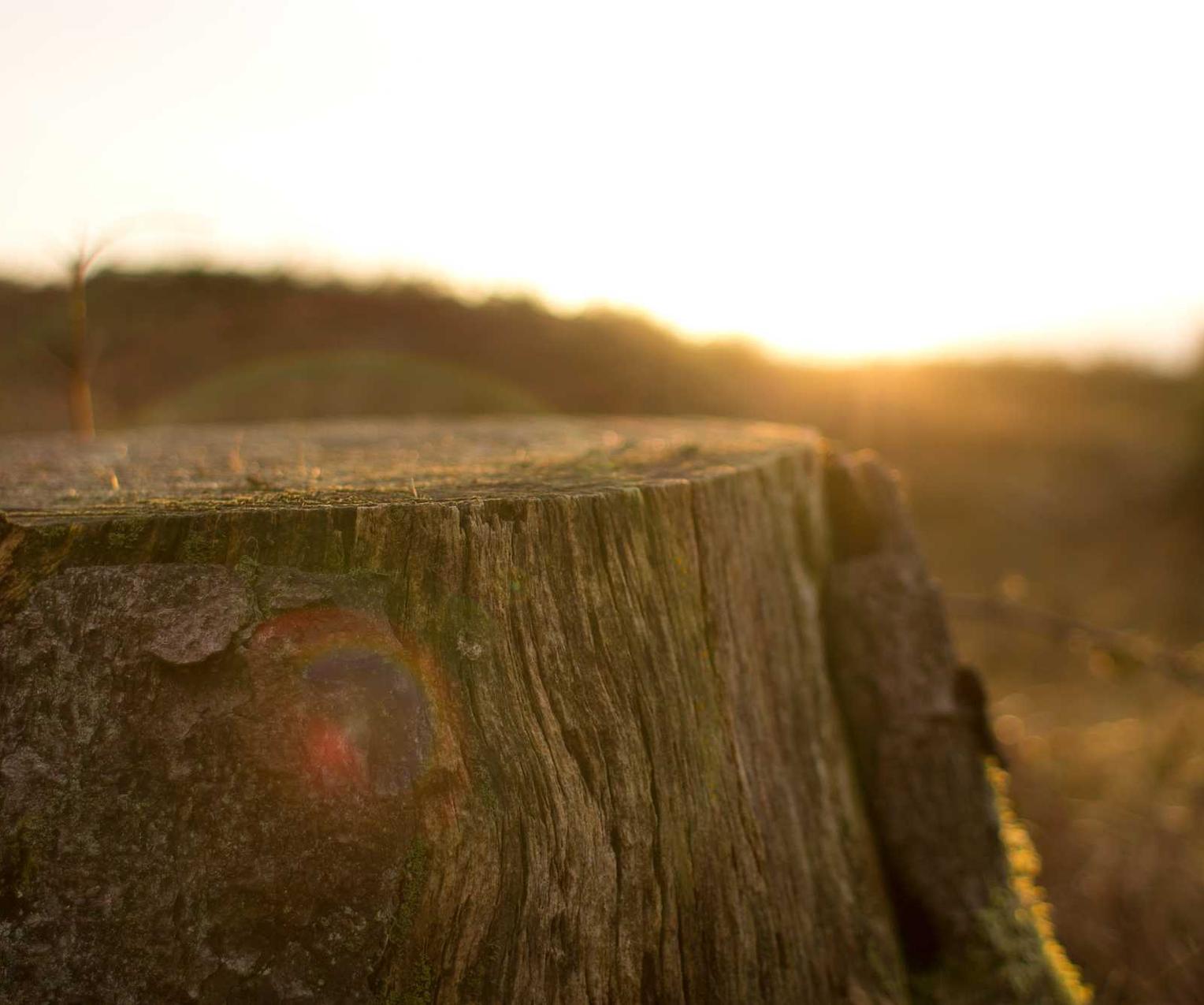 网站压力测试|带货代理平台