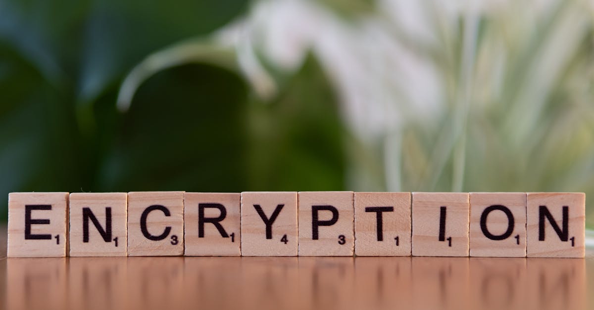 侠义行：浪迹天涯：桌椅线下购买平台