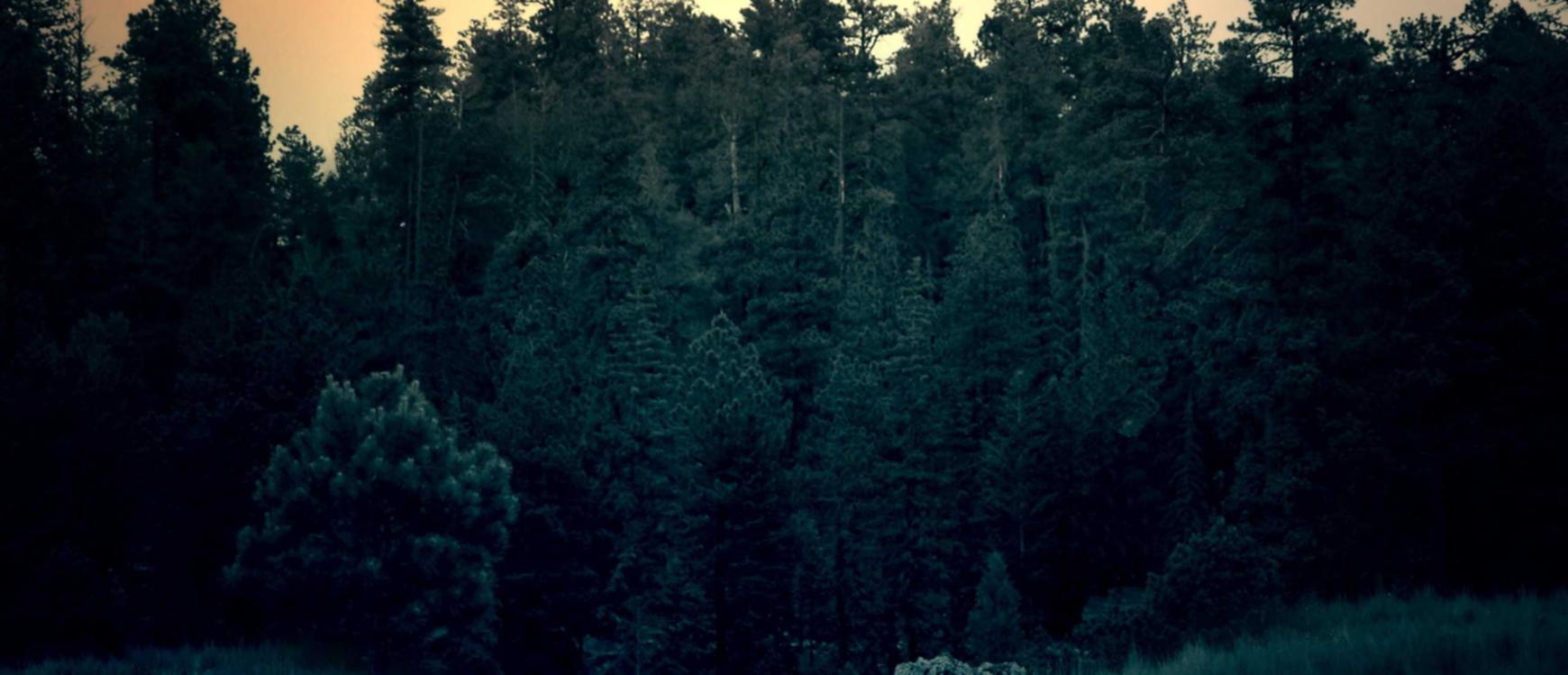 老人卡实名账号：ipad 版app详情下载教程