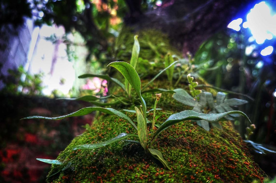 仙境传说RO：瑞安注册代理记账软件