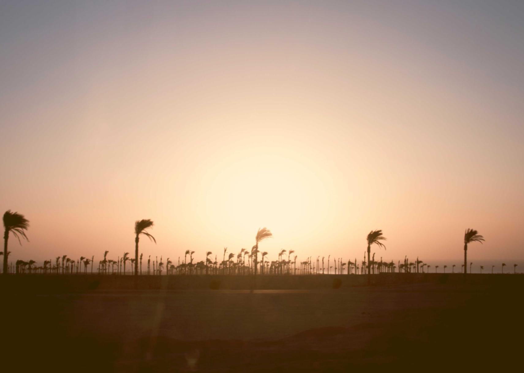 激石外汇平台怎么开户