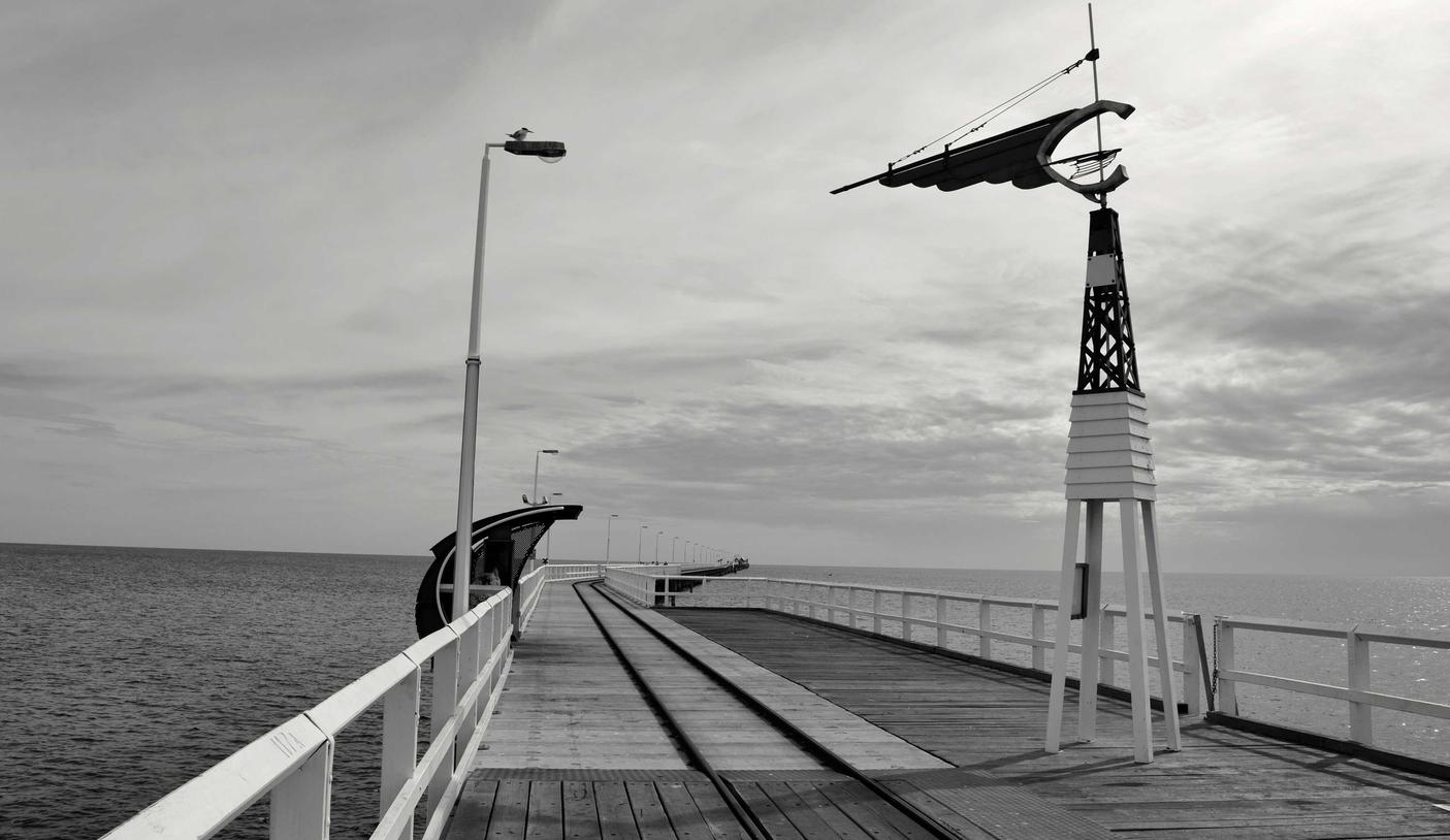 实名认证账号在生态保护中的作用